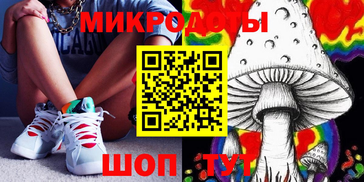 Псилоцибиновые грибы Psilocybe  Вход с VPN  Родники 